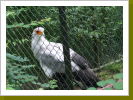 Klicken Sie auf das Bild, um es zu vergr&ouml;&szlig;ern